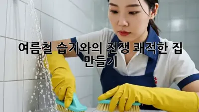 여름철 습기와의 전쟁: 쾌적한 집 만들기